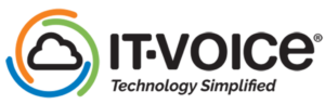 it voice logo
