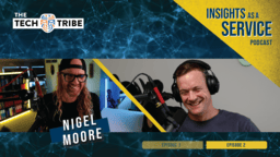 Picking a Niche: A Blueprint with Nigel Moore | Insights as a Service [55]